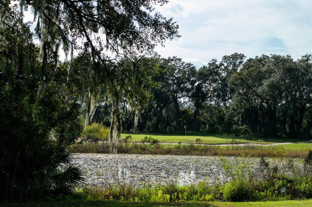 view of golf course path